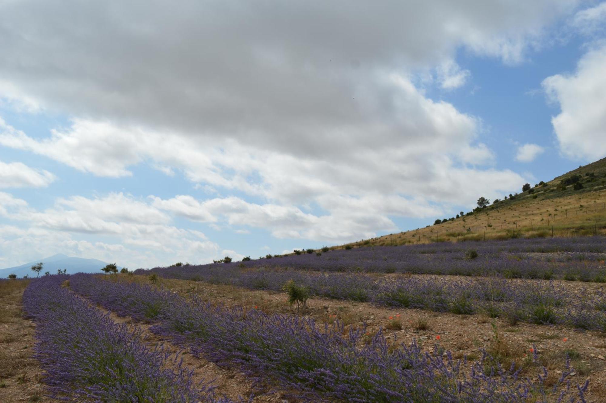 Las Abadias San Felices de los Gallegos Kültér fotó